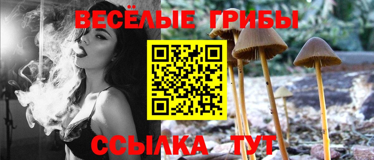 Псилоцибиновые грибы прущие грибы Первоуральск